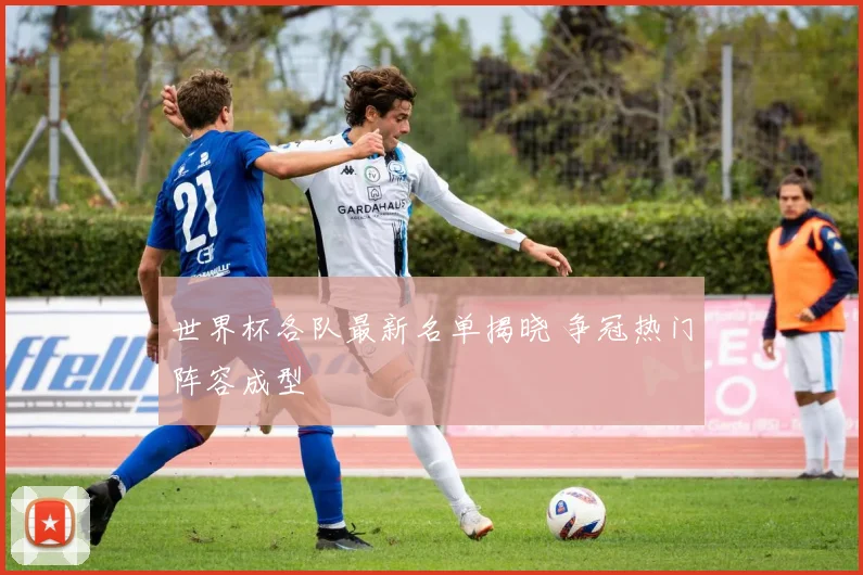 世界杯各队最新名单揭晓 争冠热门阵容成型