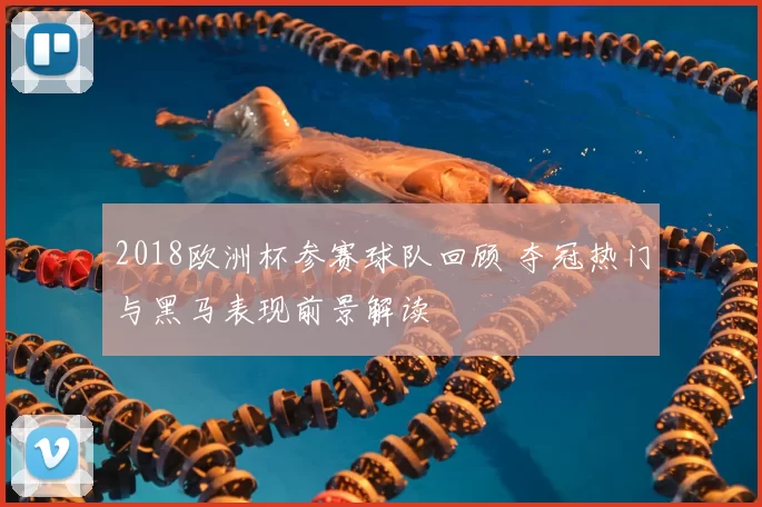 2018欧洲杯参赛球队回顾 夺冠热门与黑马表现前景解读