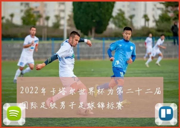 2022年卡塔尔世界杯为第二十二届国际足联男子足球锦标赛