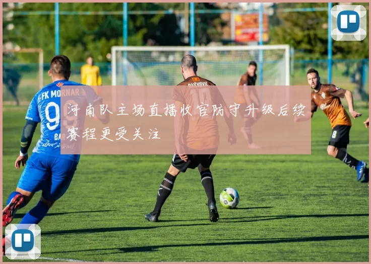 河南队主场直播收官防守升级后续赛程更受关注