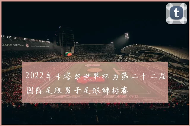 2022年卡塔尔世界杯为第二十二届国际足联男子足球锦标赛